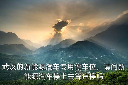 武漢的新能源汽車專用停車位，請問新能源汽車停上去算違停嗎