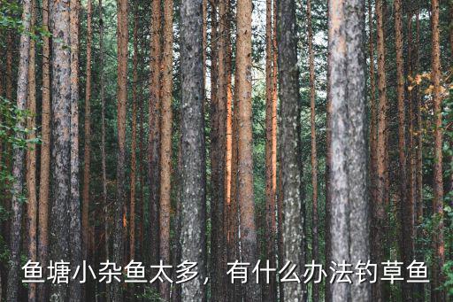 魚塘小雜魚太多，有什么辦法釣草魚