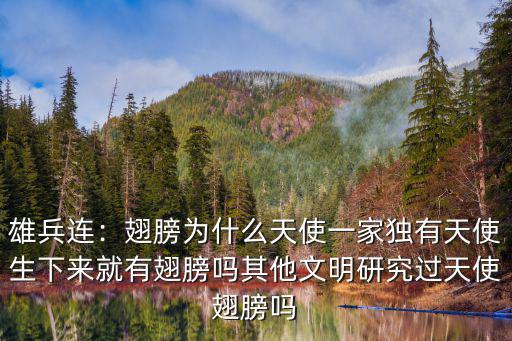 雄兵連：翅膀為什么天使一家獨有天使生下來就有翅膀嗎其他文明研究過天使翅膀嗎