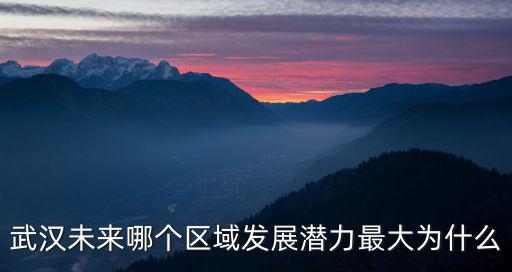 武漢未來哪個(gè)區(qū)域發(fā)展?jié)摿ψ畲鬄槭裁? class=