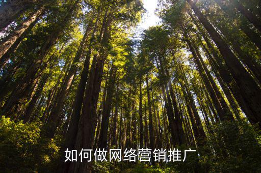 孝感網(wǎng)絡(luò)營(yíng)銷推廣怎么做,如何做網(wǎng)絡(luò)營(yíng)銷推廣