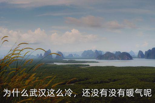 為什么武漢這么冷，還沒有沒有暖氣呢