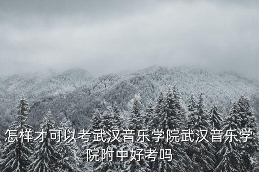 怎樣才可以考武漢音樂學院武漢音樂學院附中好考嗎