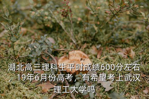 湖北高三理科生平時成績600分左右，19年6月份高考，有希望考上武漢理工大學(xué)嗎