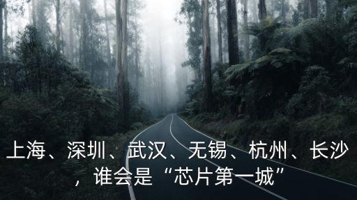 上海、深圳、武漢、無錫、杭州、長沙，誰會是“芯片第一城”