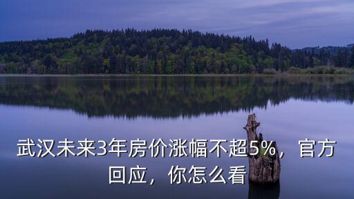 武漢未來3年房價漲幅不超5%，官方回應，你怎么看