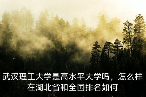 武漢理工大學環境專碩怎么樣,武漢理工大學口碑怎么樣