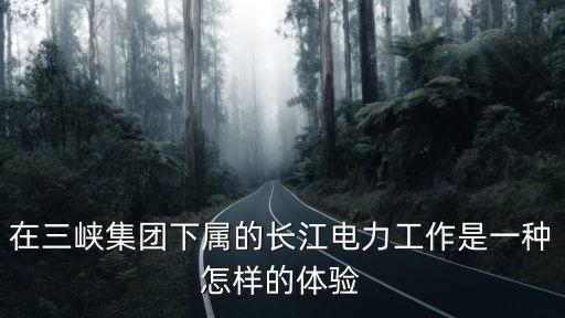 在三峽集團下屬的長江電力工作是一種怎樣的體驗