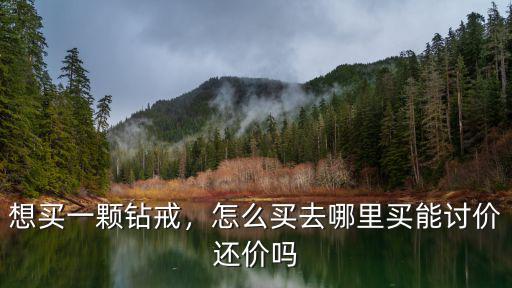想買一顆鉆戒，怎么買去哪里買能討價還價嗎