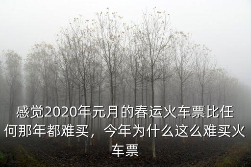 感覺2020年元月的春運火車票比任何那年都難買，今年為什么這么難買火車票