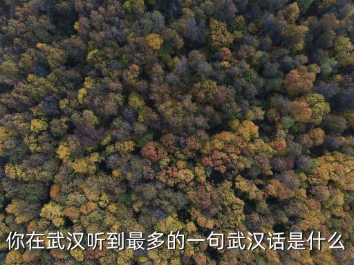 你在武漢聽到最多的一句武漢話是什么