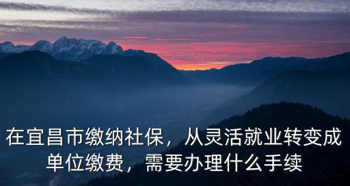 在宜昌市繳納社保，從靈活就業(yè)轉(zhuǎn)變成單位繳費，需要辦理什么手續(xù)