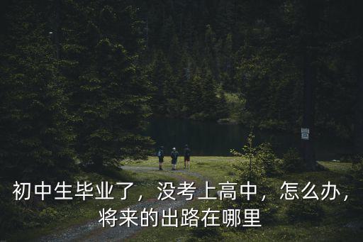 初中生畢業(yè)了，沒考上高中，怎么辦，將來的出路在哪里