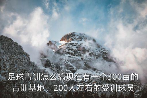 信陽螞蟻足球青訓(xùn)基地在哪里,請問哪里青訓(xùn)好