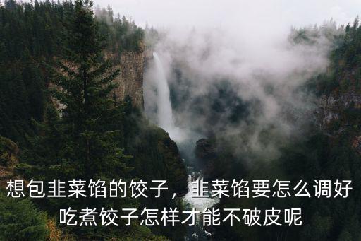 開封的韭菜餡怎么調,韭菜餡怎么調比較好吃