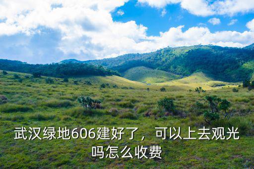 武漢綠地606建好了，可以上去觀光嗎怎么收費