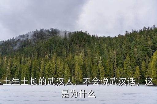 土生土長的武漢人，不會說武漢話，這是為什么