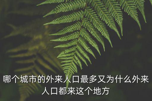 平頂山外來人口有多少,哪個城市的外來人口最多
