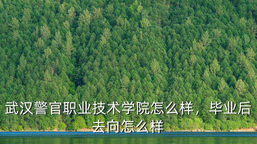 武漢警官職業技術學院寢室怎么樣,武漢警官職業技術學院怎么樣