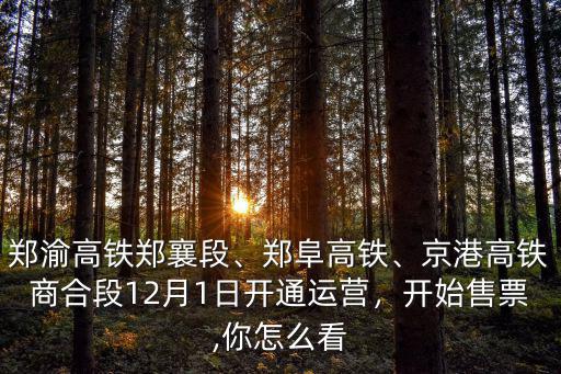 鄭渝高鐵河南段怎么樣,鄭渝高鐵河南段通車了