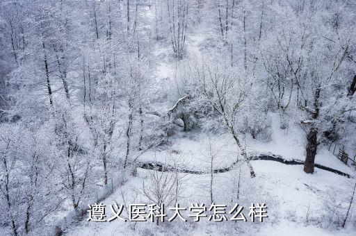 武漢遵義大學怎么樣,遵義醫科大學怎么樣