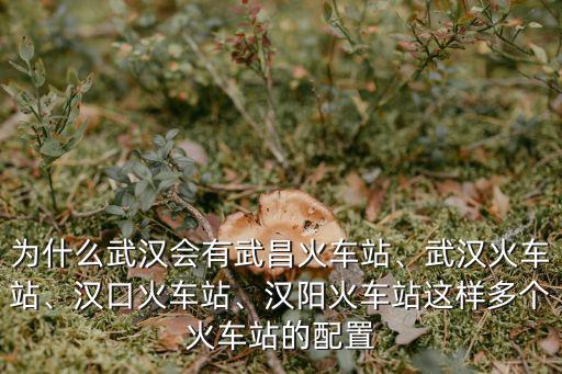 武漢怎么那么多火車站,為什么武漢會有武昌火車站