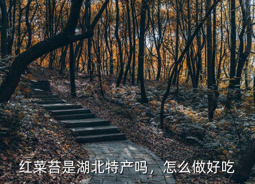 紅菜苔是湖北特產嗎，怎么做好吃