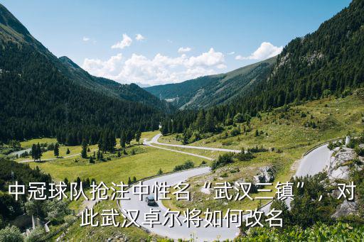 中冠球隊搶注中性名“武漢三鎮”，對此武漢卓爾將如何改名