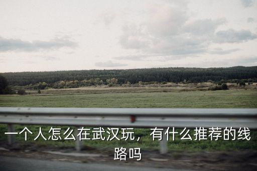 一個人怎么在武漢玩，有什么推薦的線路嗎