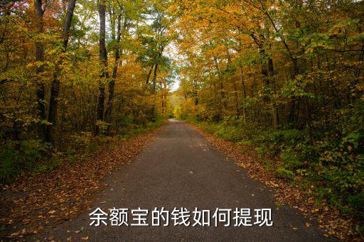余額寶的錢如何提現