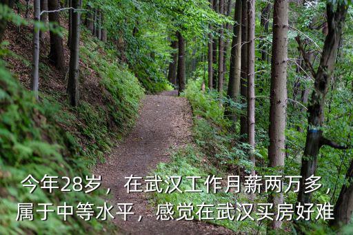 在武漢一個月2萬怎么樣,在武漢收入稅前4萬一個月