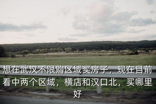 武漢橫店房子怎么樣,想在武漢不限購區域買房子