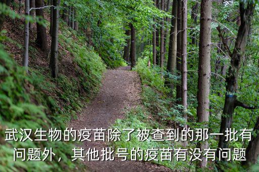 武漢生物的疫苗除了被查到的那一批有問(wèn)題外，其他批號(hào)的疫苗有沒(méi)有問(wèn)題