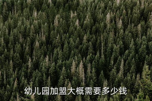宜昌幼兒托管加盟怎么加盟早教,未來寶貝托管教育怎么加盟