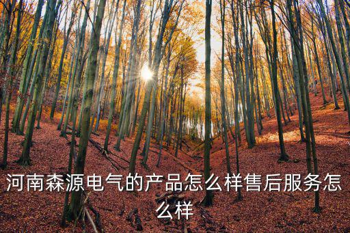 河南森源電氣的產(chǎn)品怎么樣售后服務(wù)怎么樣