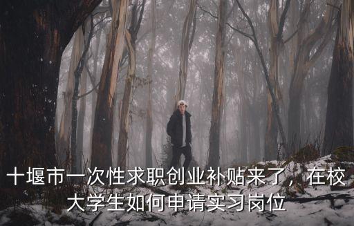 十堰市一次性求職創業補貼來了，在校大學生如何申請實習崗位