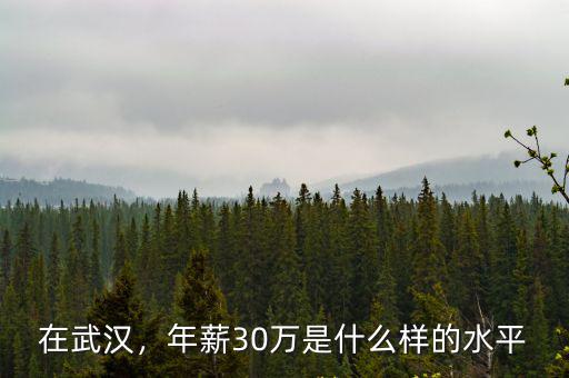 在武漢，年薪30萬是什么樣的水平