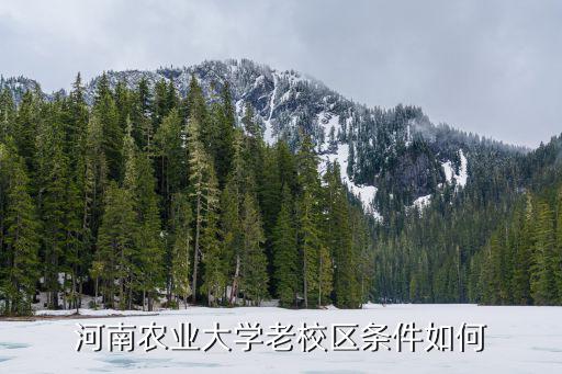 河南農業大學圖書館怎么,河南農業大學怎么樣