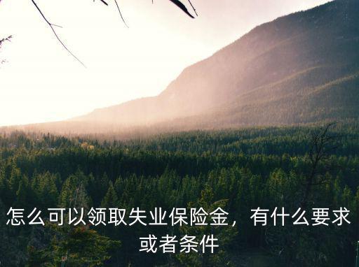 襄陽失業保險金怎么辦理,怎么可以領取失業保險金