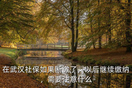 在武漢社保如果斷繳了，以后繼續繳納，需要注意什么