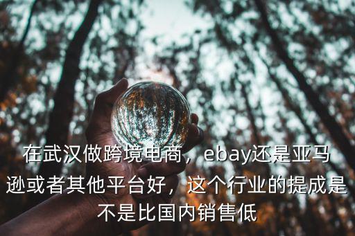 武漢魯班跨境電商怎么樣,在武漢做跨境電商