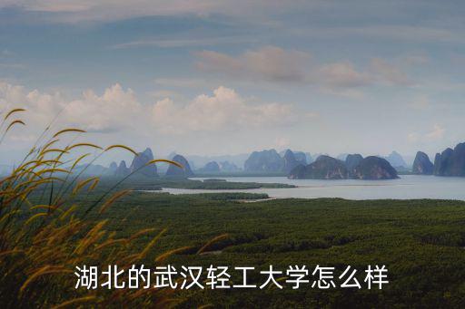 湖北的武漢輕工大學怎么樣
