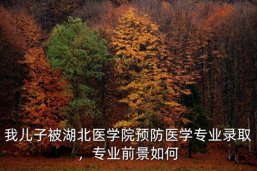 湖北醫藥學院怎么樣 就業前景,就業前途怎樣