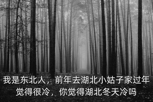 我是東北人，前年去湖北小姑子家過年覺得很冷，你覺得湖北冬天冷嗎