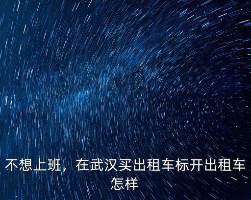 不想上班，在武漢買出租車標(biāo)開出租車怎樣