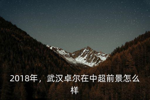 武漢卓爾球衣怎么買,武漢卓爾在中超前景怎么樣