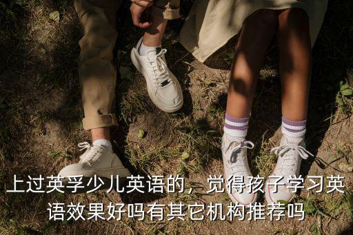 上過英孚少兒英語的，覺得孩子學習英語效果好嗎有其它機構推薦嗎