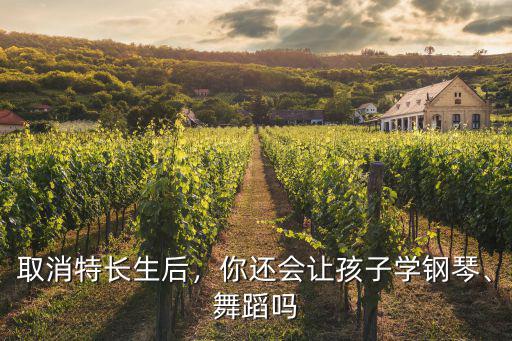 取消特長(zhǎng)生后，你還會(huì)讓孩子學(xué)鋼琴、舞蹈嗎