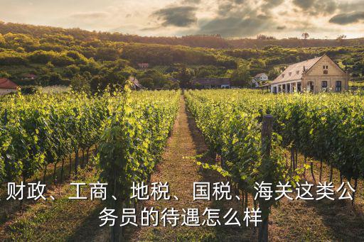 財政、工商、地稅、國稅、海關這類公務員的待遇怎么樣