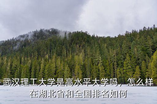 武漢理工大學(xué)cuba水平怎么樣,武漢理工大學(xué)口碑怎么樣